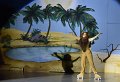 Lionking 0399